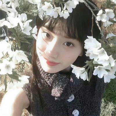 鲜血淋漓第五季